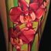 Tattoos - Orchid flowers and pink Macaw - 73320